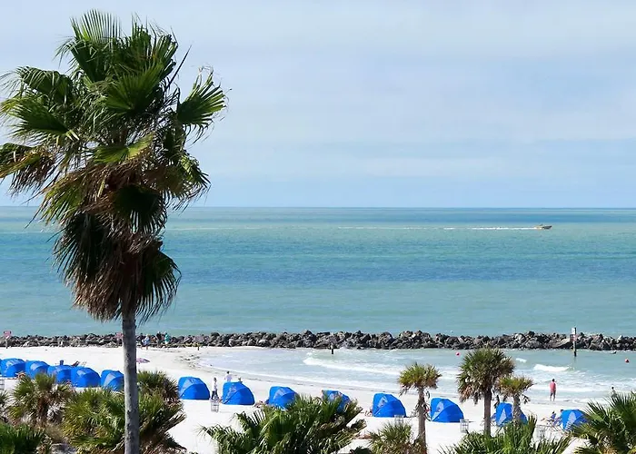 Hotel The Beachview Clearwater 3*