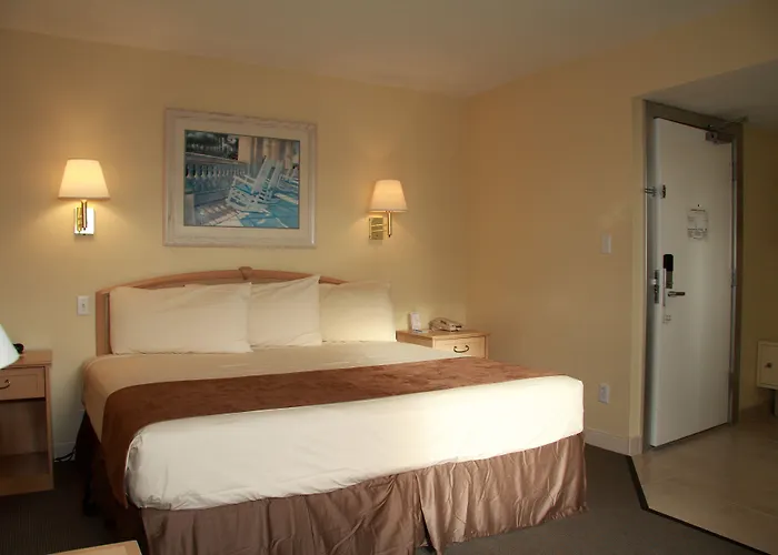 The Beachview Clearwater Hotel Clearwater Beach