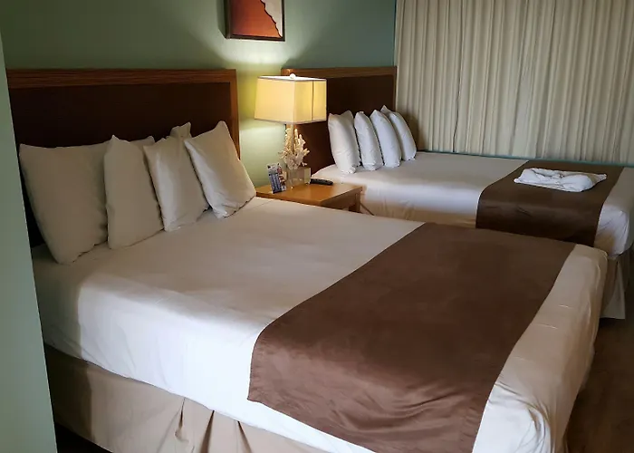 Hotel The Beachview Clearwater 3*