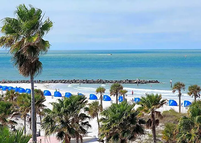 Hotel The Beachview Clearwater Clearwater Beach